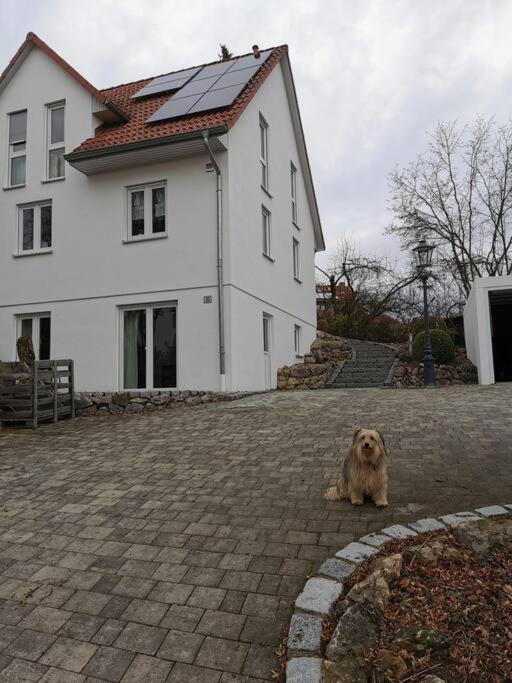 Apartmán RAuszeit Nittendorf Exteriér fotografie